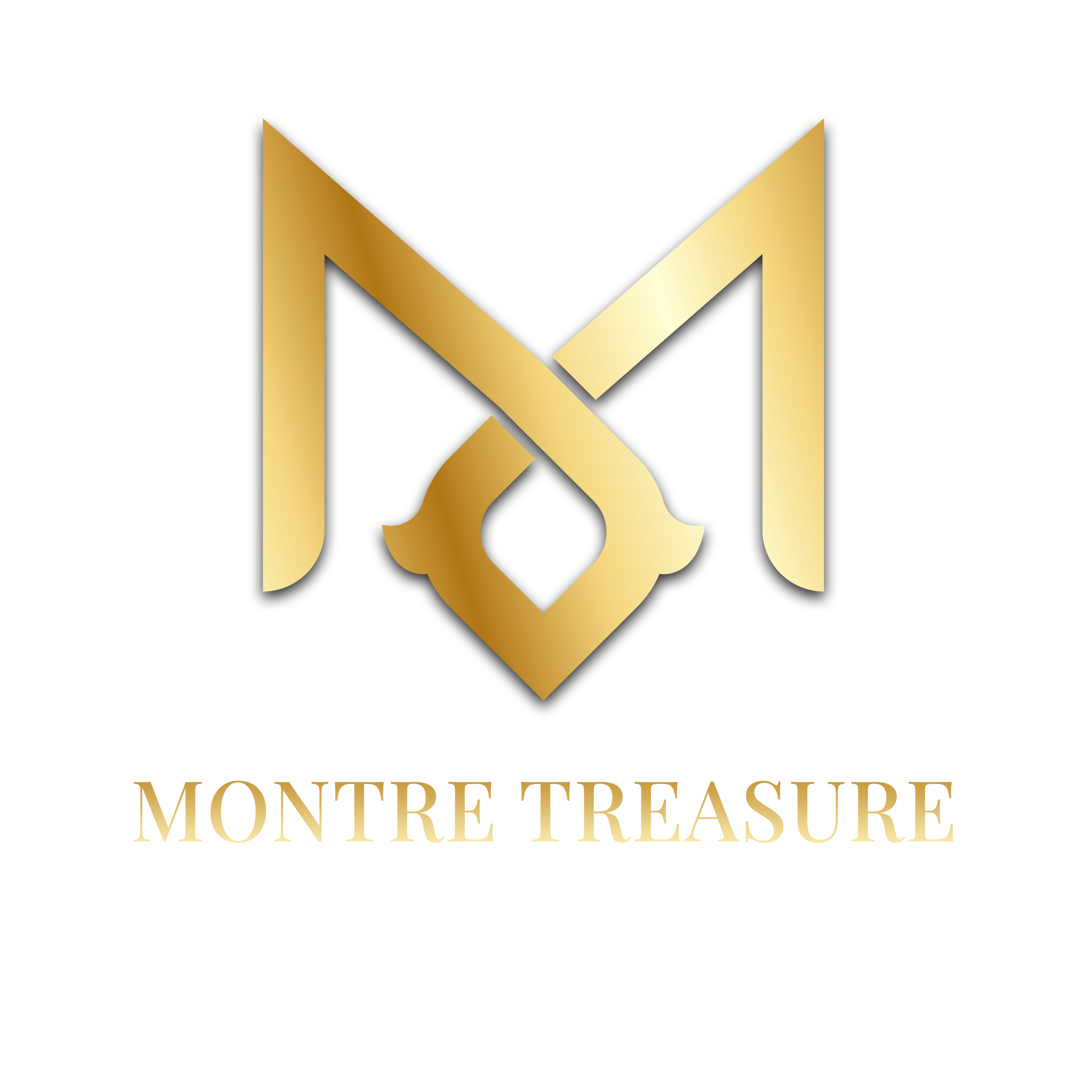 Montre Treasure